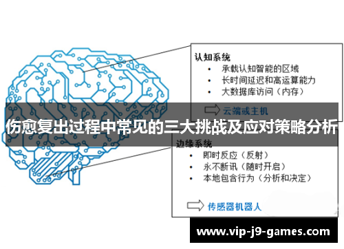 伤愈复出过程中常见的三大挑战及应对策略分析