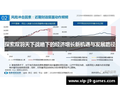 探索双羽天下战略下的经济增长新机遇与发展路径 探索双羽天下战略下的经济增长新机遇与发展路径