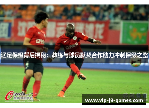辽足保级背后揭秘：教练与球员默契合作助力冲刺保级之路